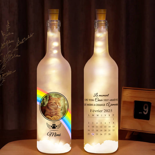 3904LFR1 bouteille lumineuse personnalisee cest le moment ou cadeau commemoratif chat 3904L_79754645 2ebf 4a4a 8fbc 7a8094a1b279