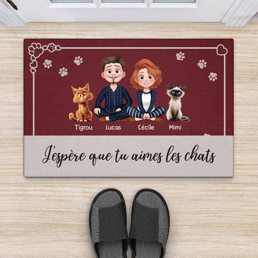 3914DFR2 paillasson personnalise dessin anime 3d jespere que tu aimes les chats 3914DTM0D