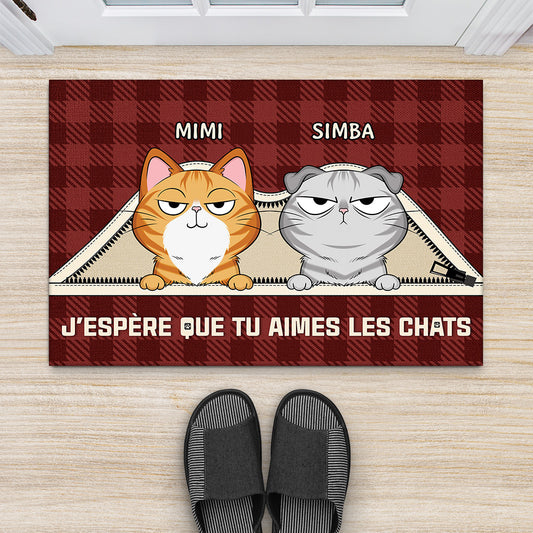 4061DFR2 paillasson personnalise nous gouvernons la maison chats sous tapis 4061dkq0d_75098d52 fd62 4f4d 9331 786f9be4c40d