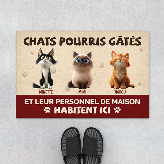 5536DFR1 paillasson personnalise chat chat gate pourri 5536dtqad_a6fcef86 be6d 4b1e 86a0 295974b9be84