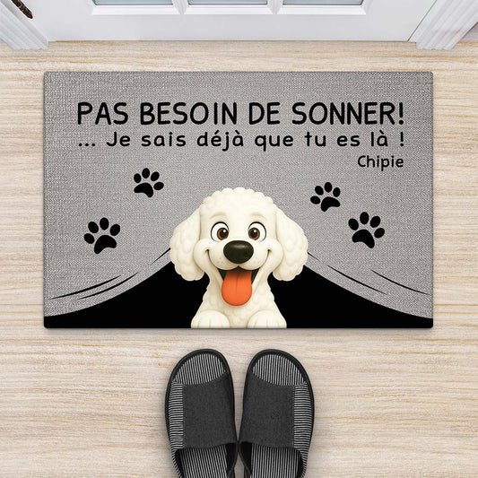 5969DFR2 paillasson personnalise chien pas besoin de sonner 5969dkz0c