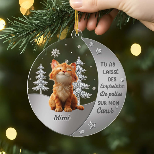 6215OFR2 ornement acrylique personnalise commemoratif pour chat ta lumiere brillera toujours 6215o6std