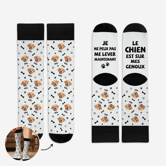 6223JFR1 chaussettes personnalisees le chien est sur mes genoux 6223j6xmc
