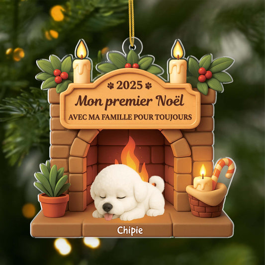 6225OFR1 effet dimpression 3d ornement acrylique personnalise premier noel chien avec ma famille pour toujours 6225o8ttc