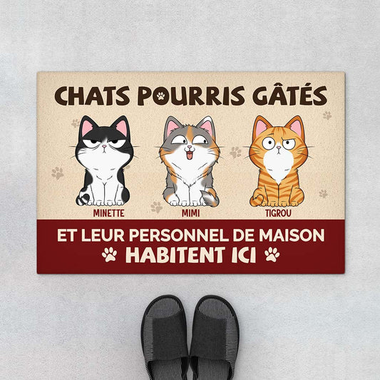 6314DFR1 paillasson personnalise mon chat gate pourri 6314dtq5d_7fd10172 5cde 42b2 842a 101c2f4469df