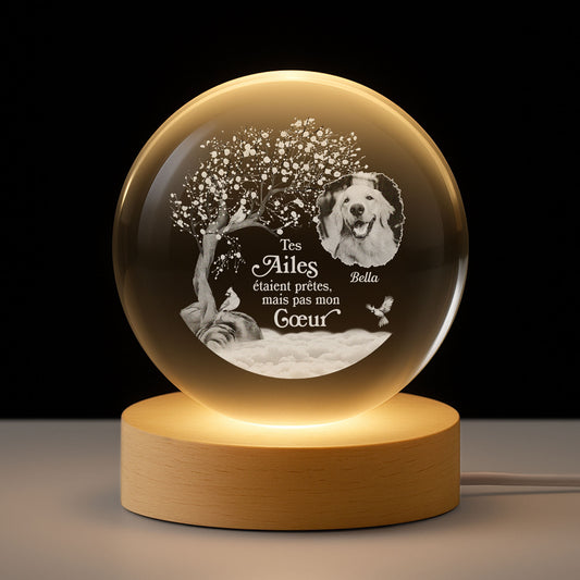 7407LFR1 veilleuse boule de cristal personnalisee avec photo commemorative chienchat aime pour toujours 7407l3tac