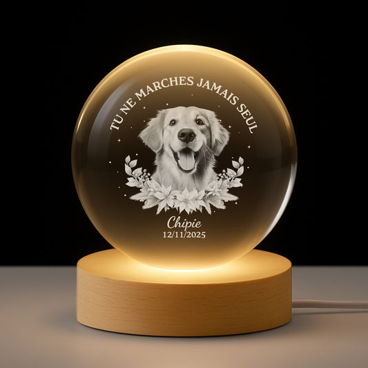 7422LFR1 veilleuse boule de cristal personnalisee avec photo commemorative de chienchat toujours avec toi 7422l3qwc