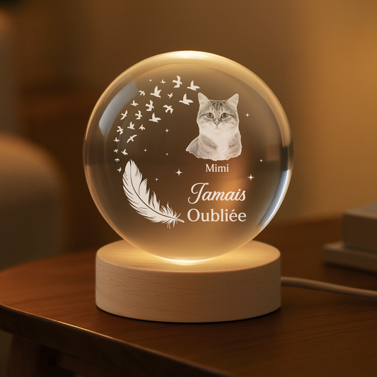 7644LFR1 mon petit chien et chat veilleuse boule de cristal personnalisee photo commemorative 7644l3ftd