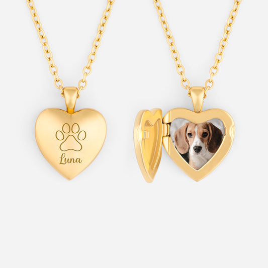 8334JFR1 cadeau pour amoureux des chiens chats collier avec photo personnalise 8334j8v5d_1
