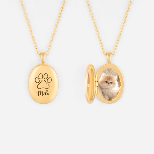 8334JFR1 mon petit chien chat collier photo personnalise 8334j8v5d_2