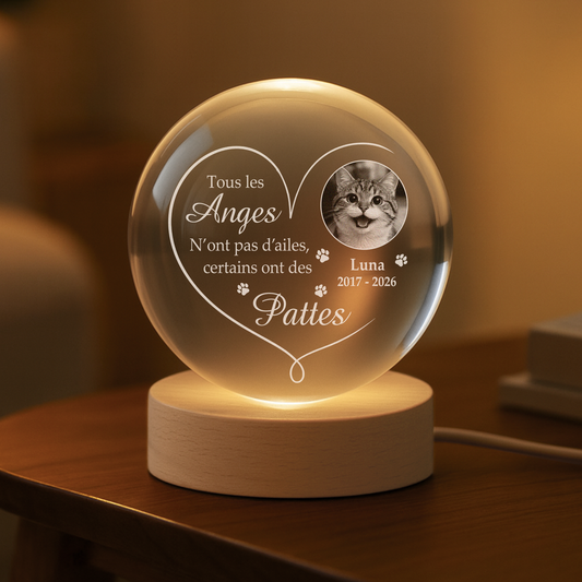 9127LFR2 tous les anges nont pas dailes boule cristal lumineuse personnalisee photo commemorative chienchat 9127l3fpc_725a592c b7f1 4f98 8bb4 82b6c87e35a1