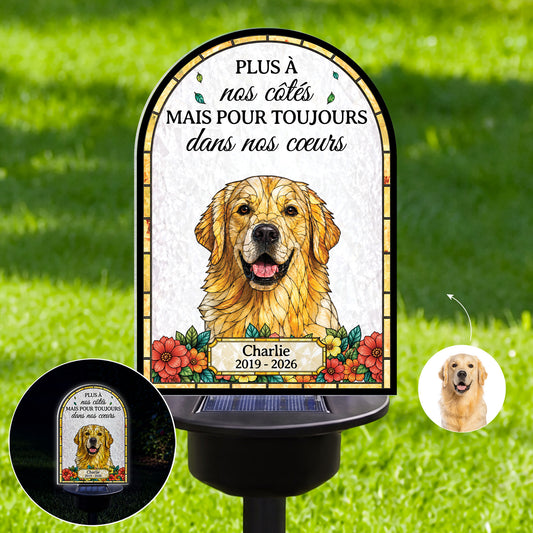 FR1_58bb7311 6ab3 4226 99a4 e3cfd4ef642a