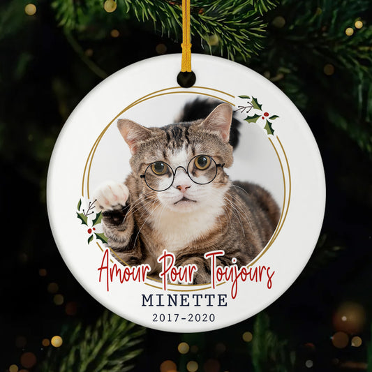 FR1_854ecd93 a928 47b6 b770 4d6bc13b335c