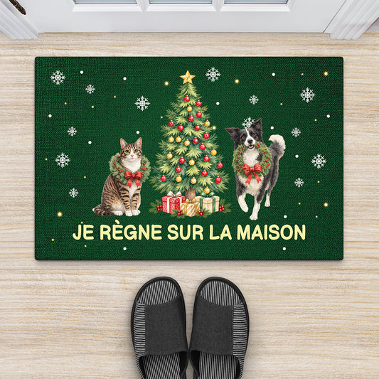 FR2_273c03d2 9e00 4e53 b04b c97cd1469719