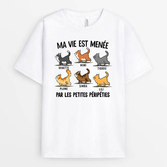 0147AFR1 present Personnalise T shirt chats personnes