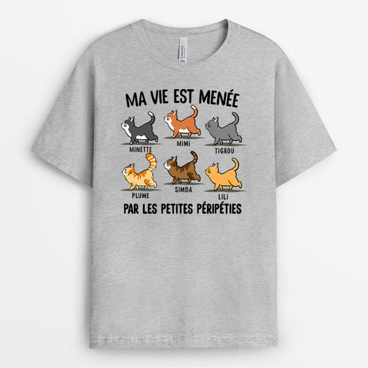 0147AFR2 present Personnalise T shirt chats personnes