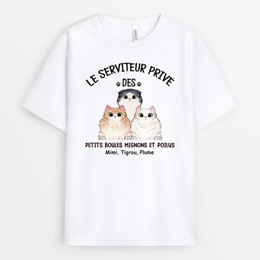 0205A120DFR1 cadeau Personnalise T shirt chats personnes