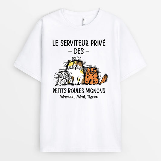 0307A250DFR2 present personnalisable T shirt chats personnes