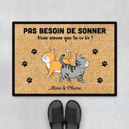 0409D268DFR1 cadeau personnalisable Paillassons chats