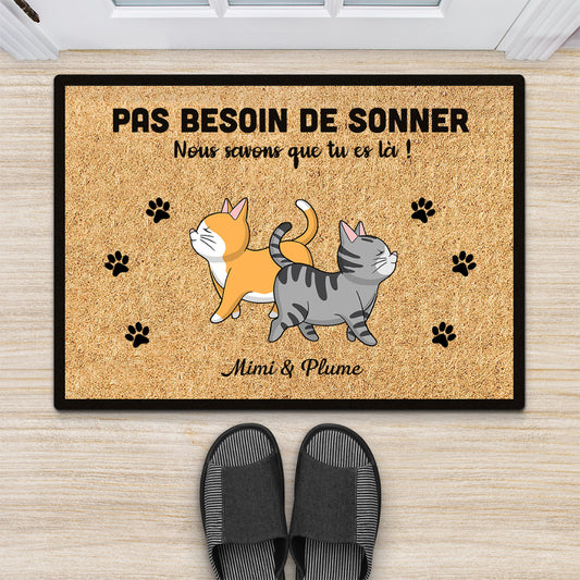 0409D268DFR2 present personnalisable Paillassons chats