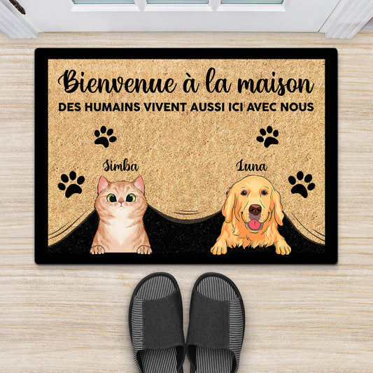 0419D508DFR2 cadeau personnalisable paillassons chats chiens