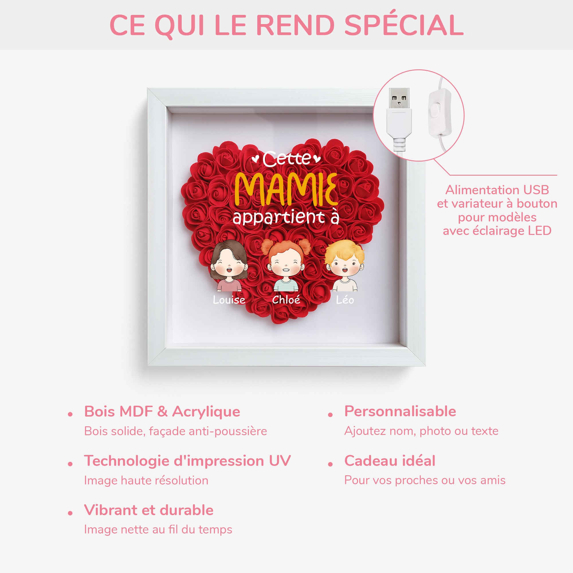 0827OFR4 boite a fleurs personnalisee cette mamie ours appartient a 