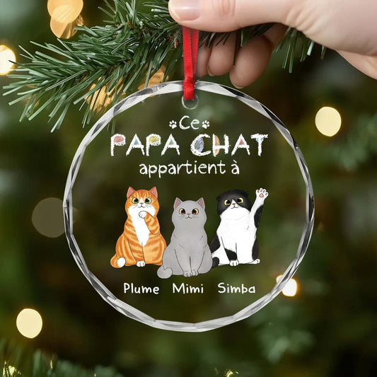 0938OFR2 ornement en verre personnalise ce papa chat appartient a 0938o8t8d_d9d0877c ca2e 4442 9396 8bf9390a10f8
