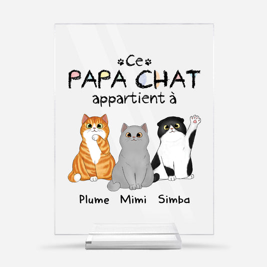 0938RFR1 plaque en acrylique personnalisee ce papa chat appartient a 0938r8t8d