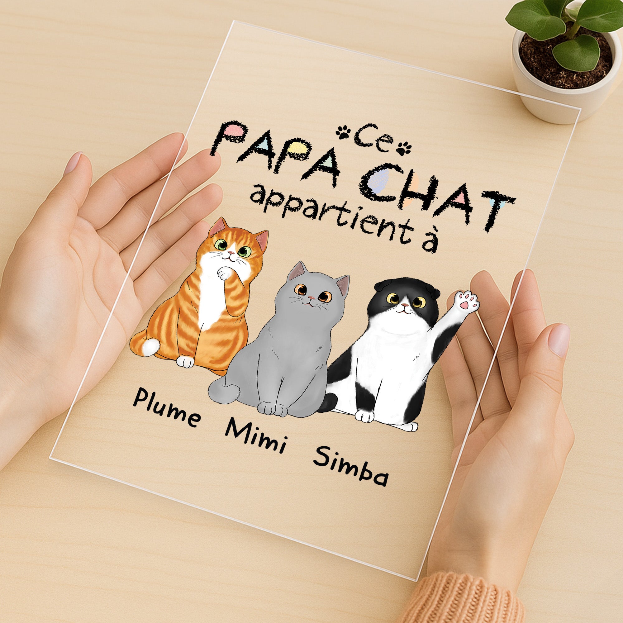 0938RFR3 plaque en acrylique personnalisee ce papa chat appartient a 0938r8t8d
