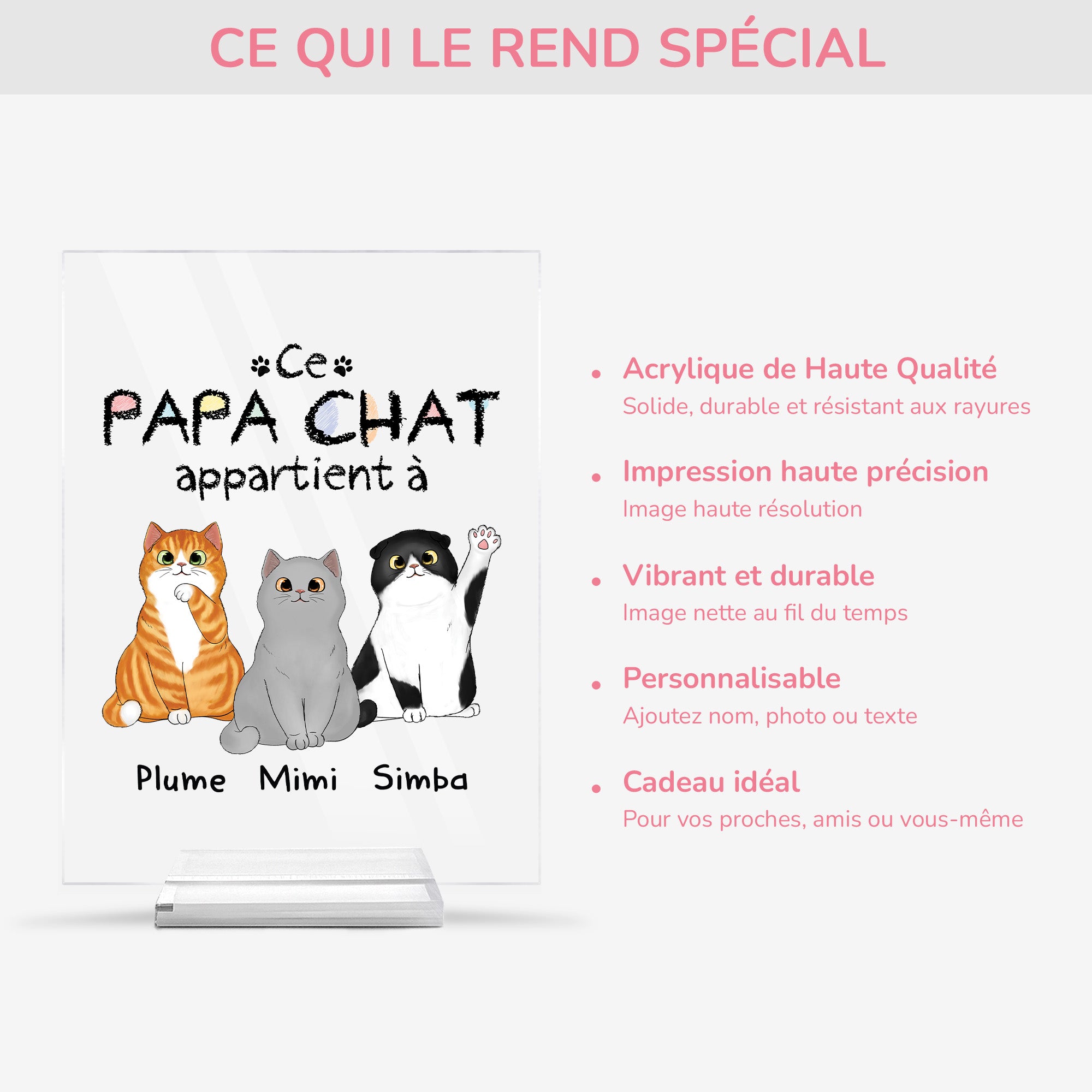 0938RFR5 plaque en acrylique personnalisee ce papa chat appartient a 0938r8t8d