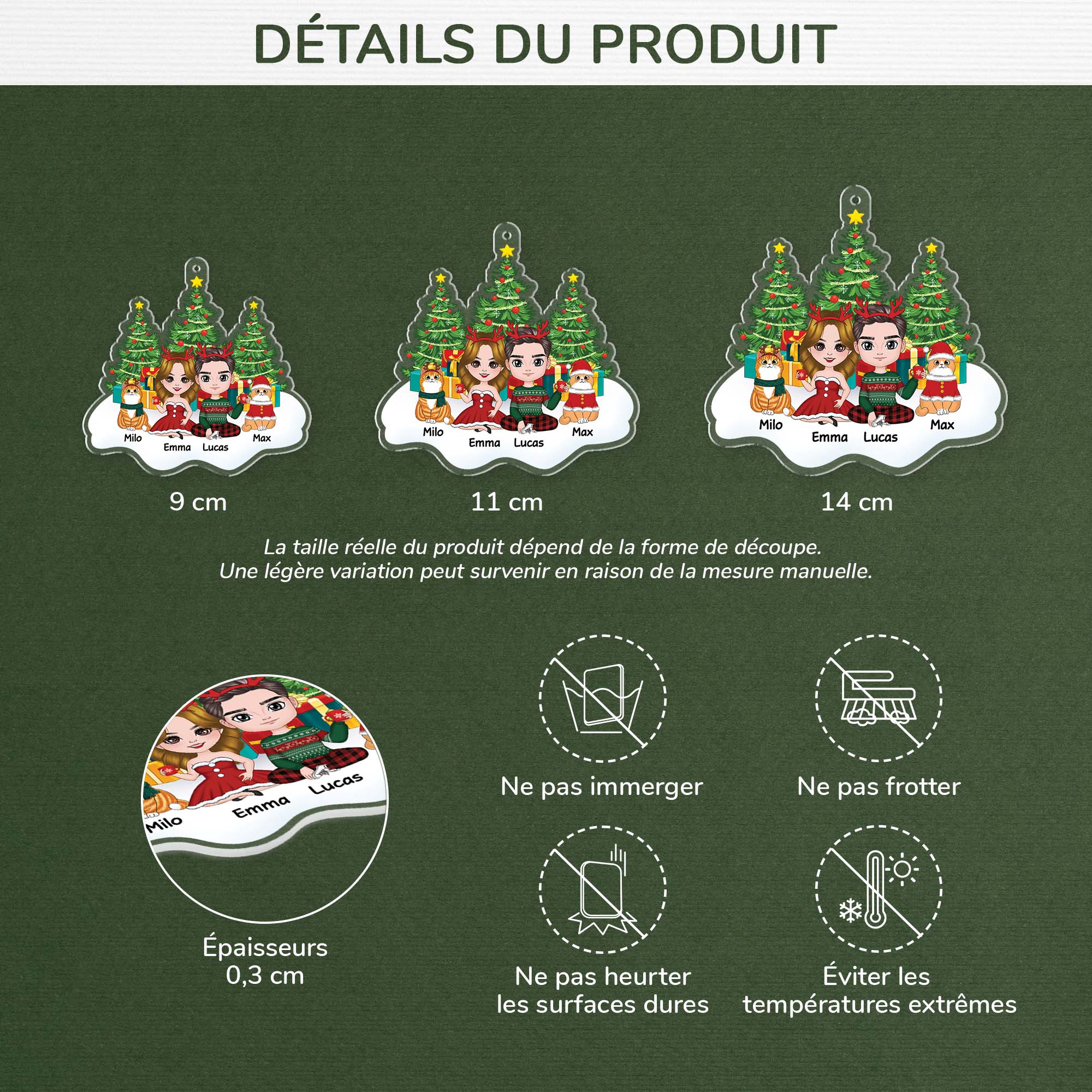 1406OFR3 ornement couple et chats assis sur la neige personnalise