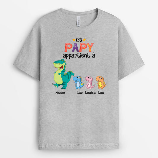 1539AFR2 t shirt ce papa papy appartient a dinosaure personnalise