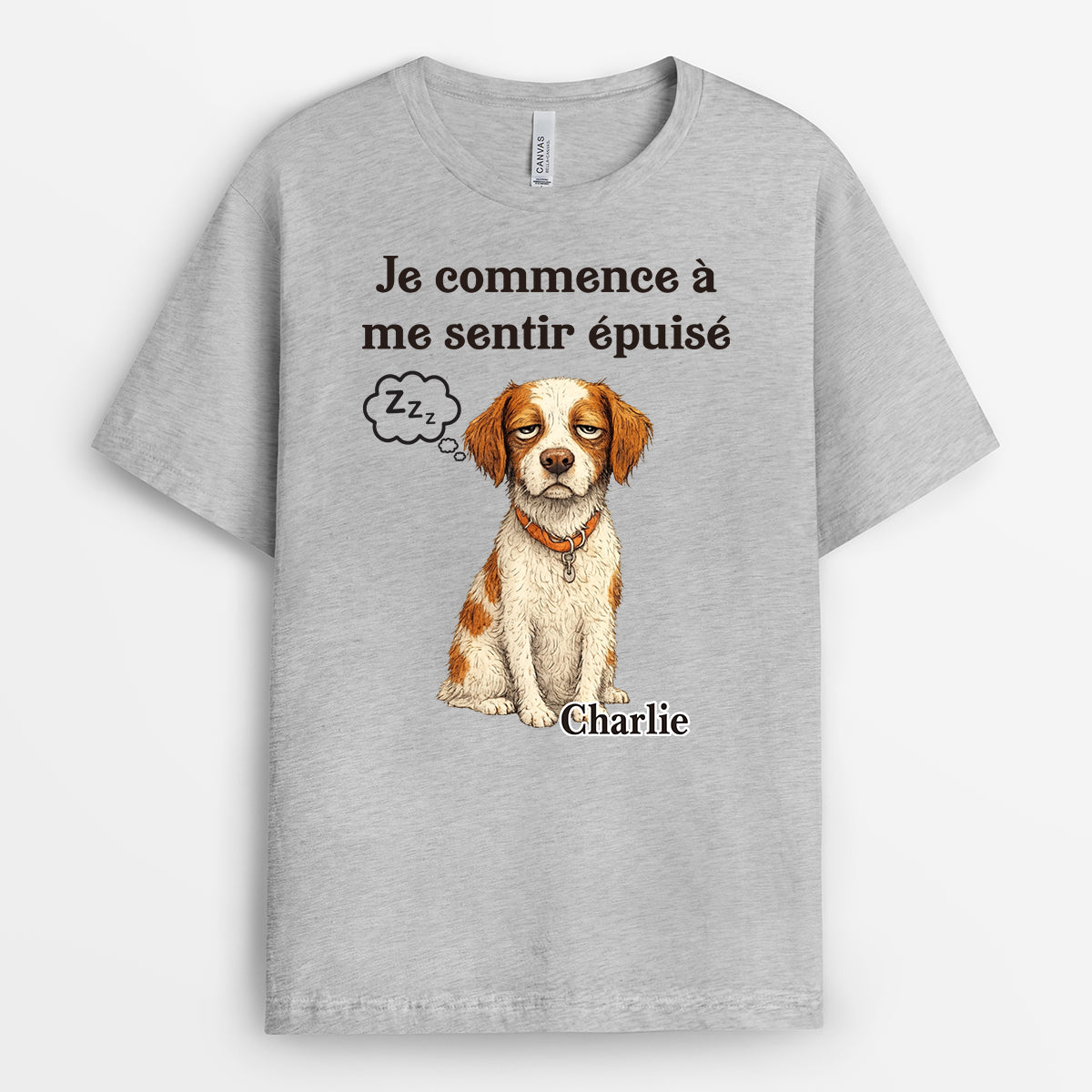 15593A6_FR2
