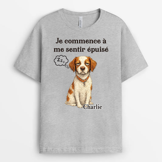 15593A6_FR2