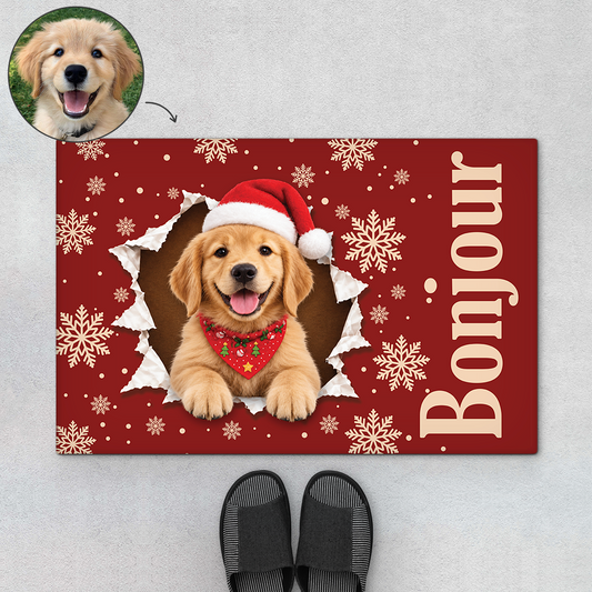 15875DN ProDoormat CouFR RnDNone IdeNgoc NicPet