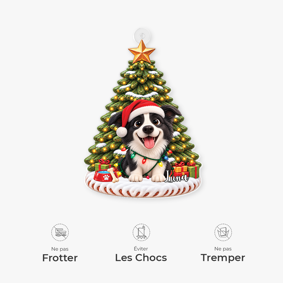 16535OH ProAcrylicOrnament CouFR RnDNone IdeHa NicSOS