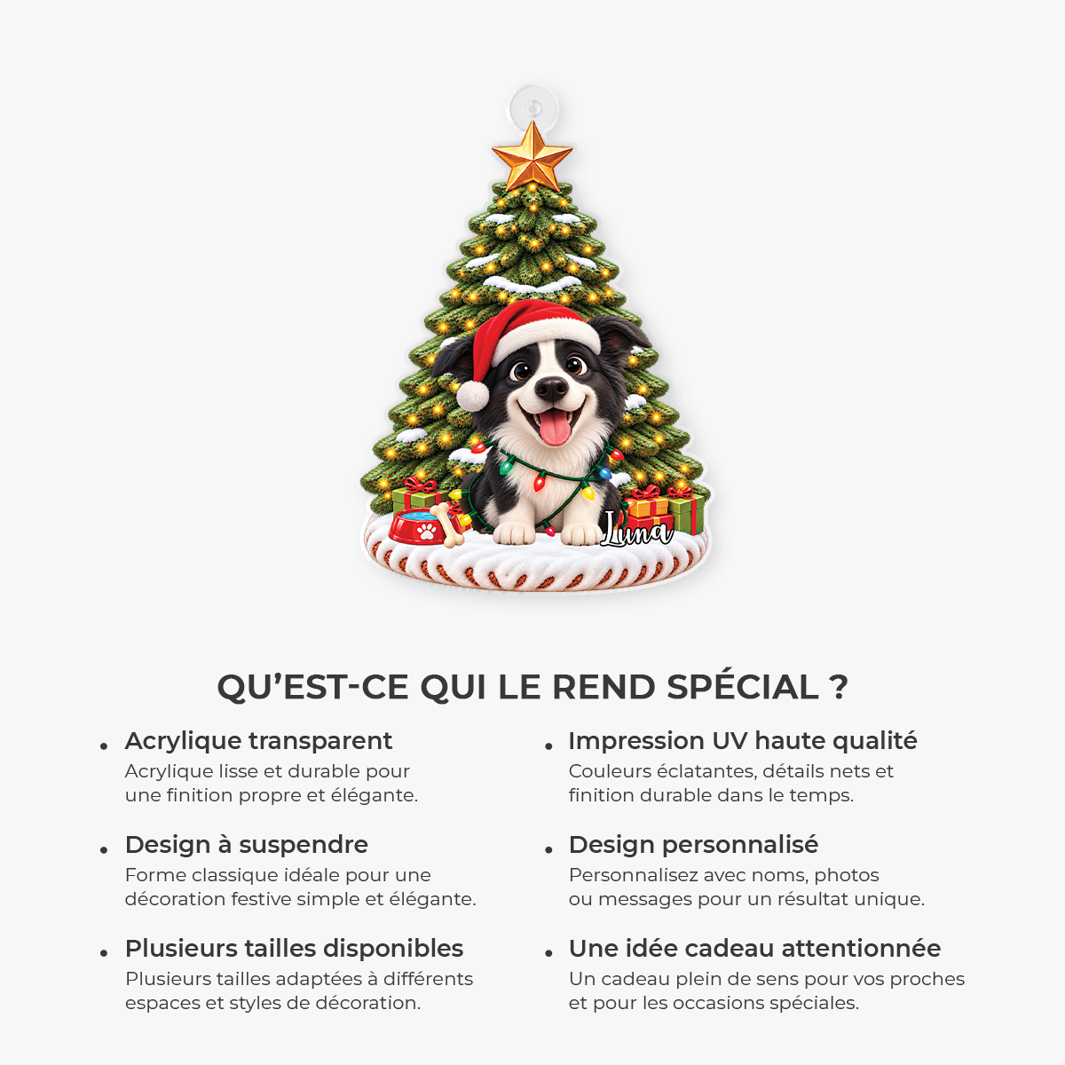 16535OH ProAcrylicOrnament CouFR RnDNone IdeHa NicSOS