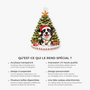 16535OH ProAcrylicOrnament CouFR RnDNone IdeHa NicSOS