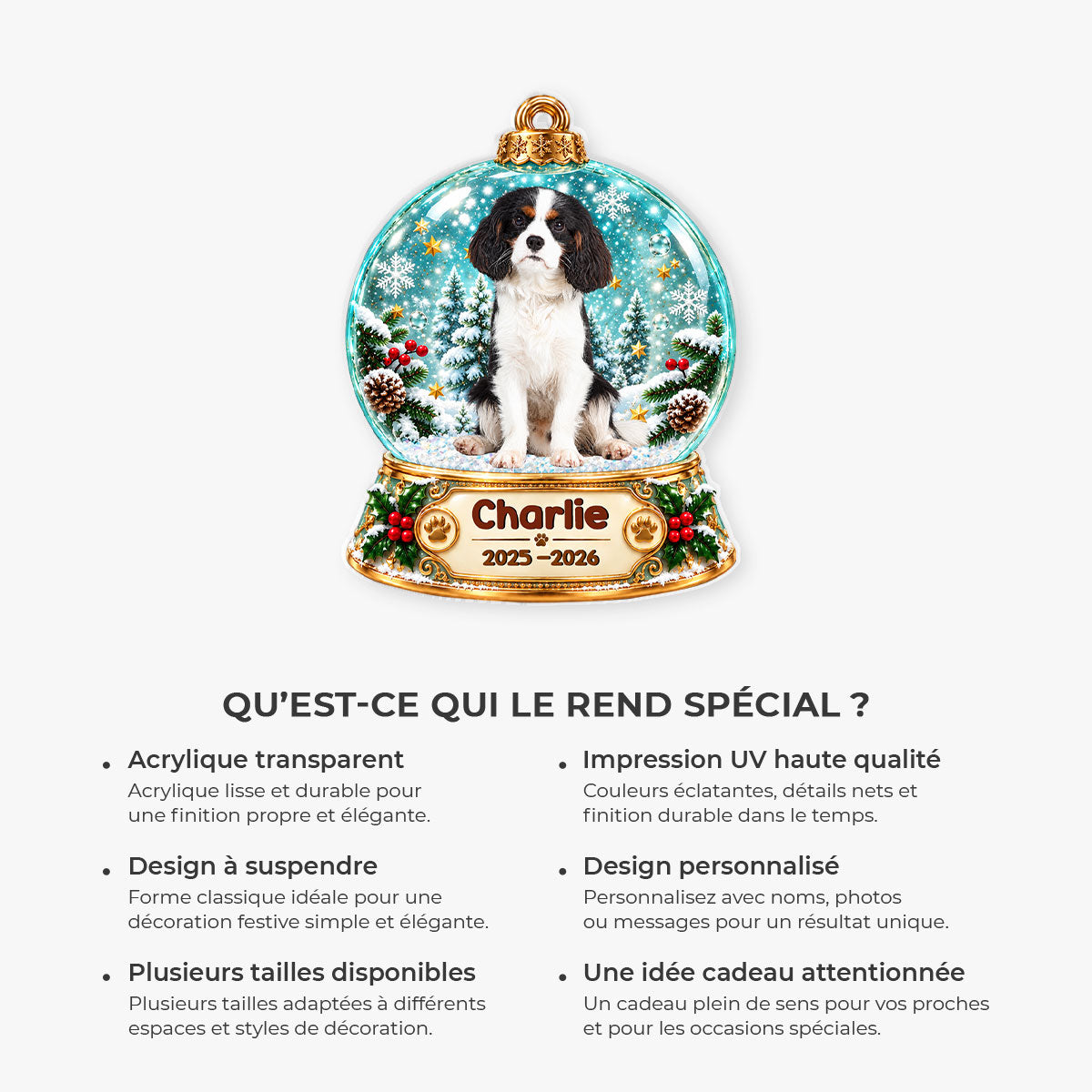 16729OA_FR6