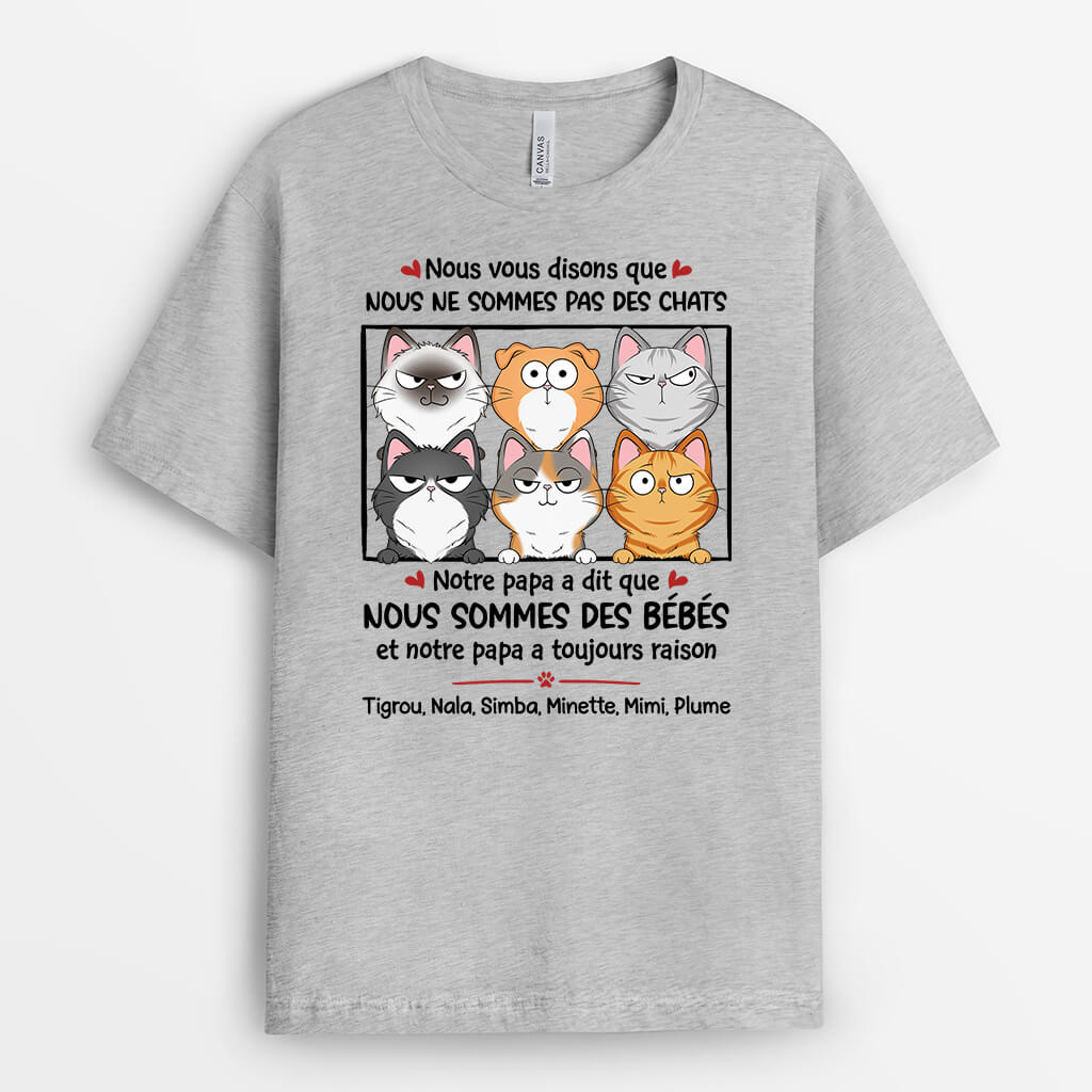 Nous Vous Disons Que Nous Ne Sommes Pas Des Chats - Cadeau Personnalisé | T-shirt pour Amoureux des Animaux