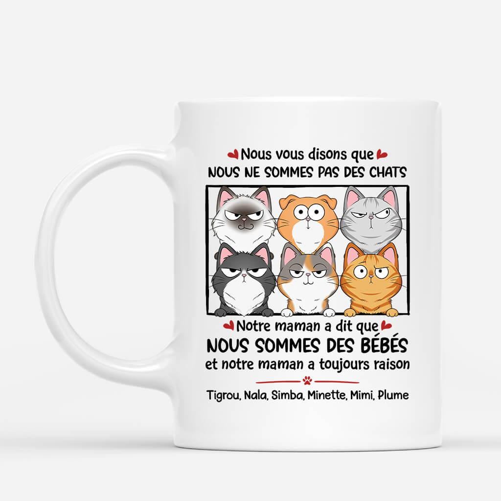 Nous Vous Disons Que Nous Ne Sommes Pas Des Chats - Cadeau Personnalisé | Mug pour Amoureux des Animaux