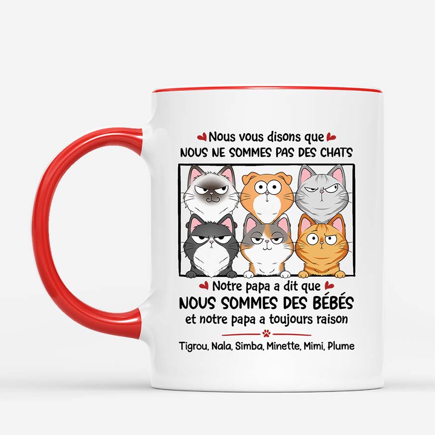 1926FR2 mug nous vous disons que nous ne sommes pas des chats personnalise_c82894e2 2305 4d1a b8b4 33e868272b6e