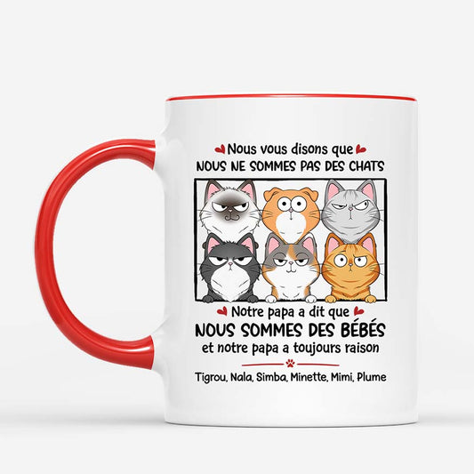 1926FR2 mug nous vous disons que nous ne sommes pas des chats personnalise_c82894e2 2305 4d1a b8b4 33e868272b6e
