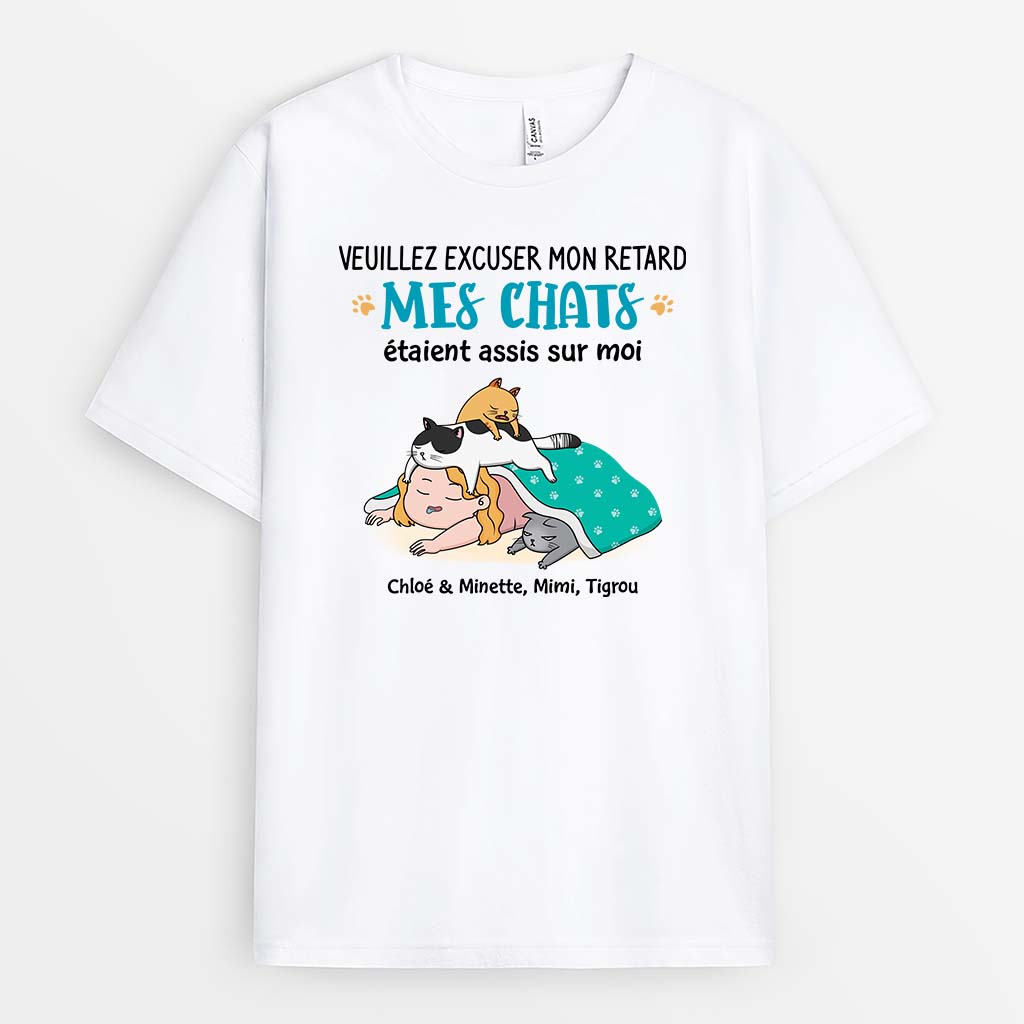 Mes Chats Étaient Assis Sur Moi - Cadeau Personnalisé | T-shirt Pour Amoureux Des Animaux