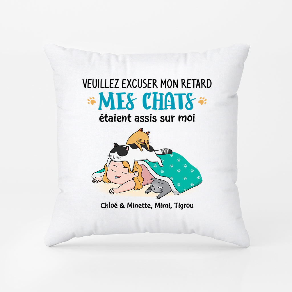 Mes Chats Étaient Assis Sur Moi - Cadeau Personnalisé | Coussin Pour Amoureux Des Animaux