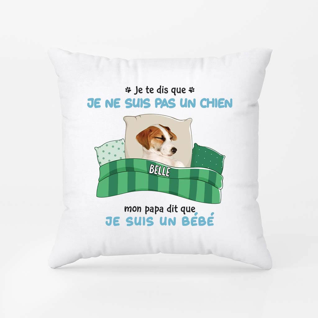 2853PFR2 je te dis que je ne suis pas un chat coussin chat personnalise_03af8d89 077a 4bc8 a6f8 d7e95cbb13ec