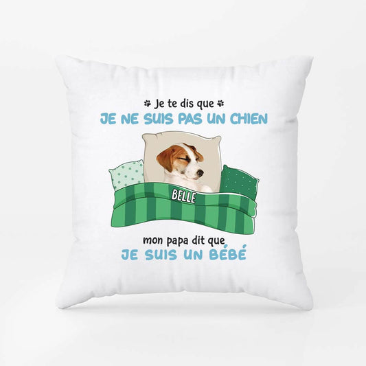 2853PFR2 je te dis que je ne suis pas un chat coussin chat personnalise_03af8d89 077a 4bc8 a6f8 d7e95cbb13ec