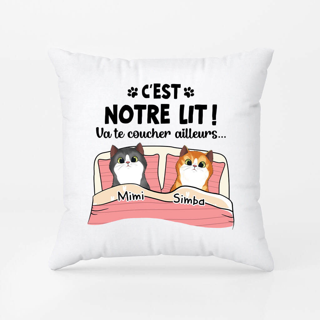 Va Te Coucher Ailleurs Version Chat - Cadeau Personnalisé | Coussin Pour Amoureux Des Chats