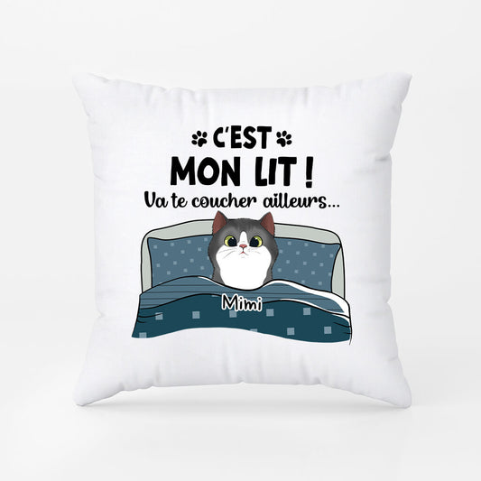 2855PFR2 va te coucher ailleurs version chat coussin personnalise pour chat_e70a8e0c 84e4 483e ba74 53ef3a8a577d
