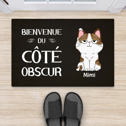 2915DFR2 bienvenue du cote obscur version chat tapis chat personnalise
